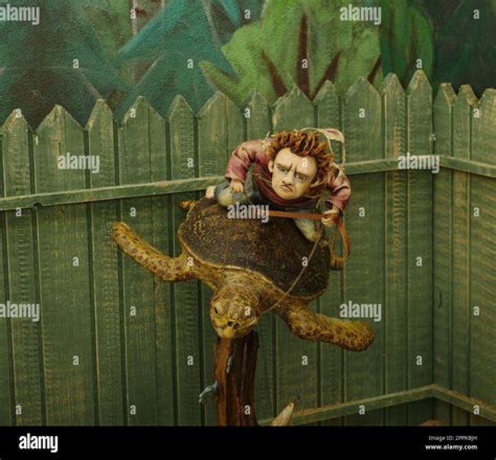 Alec Hall Turtle Rider Death : Cause of Death and Obituary - SarkariResult