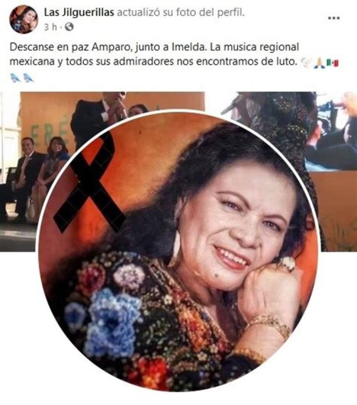 Amparo Higuera Juarez Died: How Did Singer Die?
