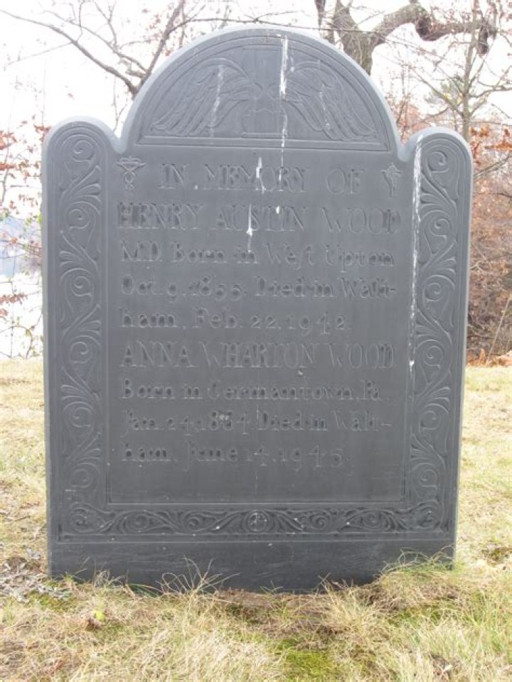 
Anna Wharton Age, Birthday, Wikipedia, Who, Nationality, Biography 