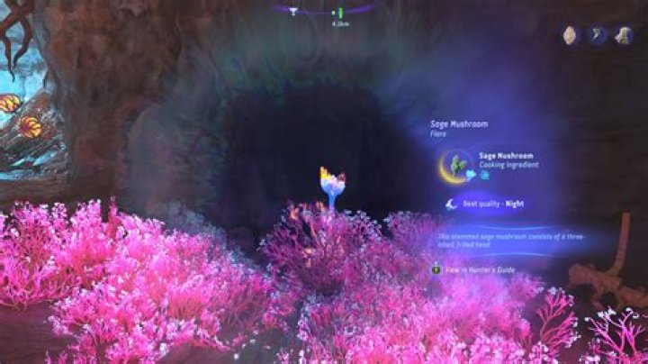 Avatar Frontiers of Pandora: Explaining Sage Mushroom - SarkariResult