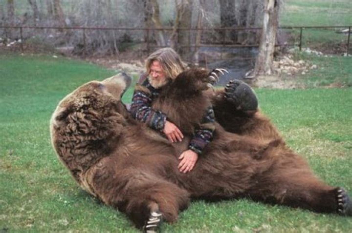 Bart the Bear Net Worth