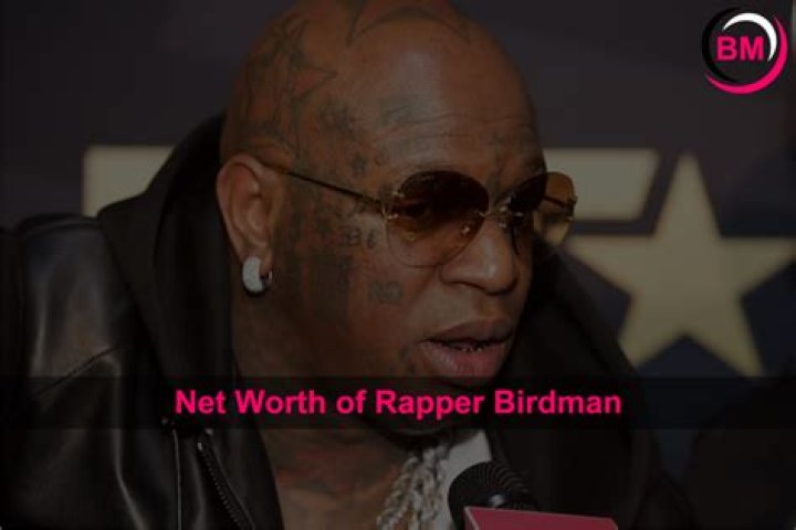 Birdman Net Worth 2023: What Is He Worth? - SarkariResult