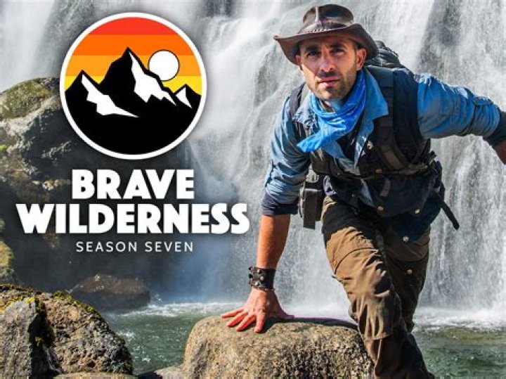 Brave Wilderness video statistics