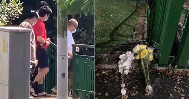 
Bukit Timah Murder: Who Was Ethan Yap? Twins Murdered In Playground, Father Finally Arrested 