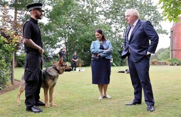 Cassia Peaches Johnson Birthday, Age, Instagram, University, Wiki