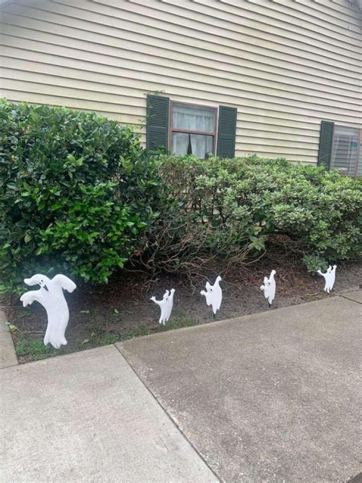 Charistin Clark Weather Bio, Wiki, Age, Husband, WOAY, Salary, Net Worth