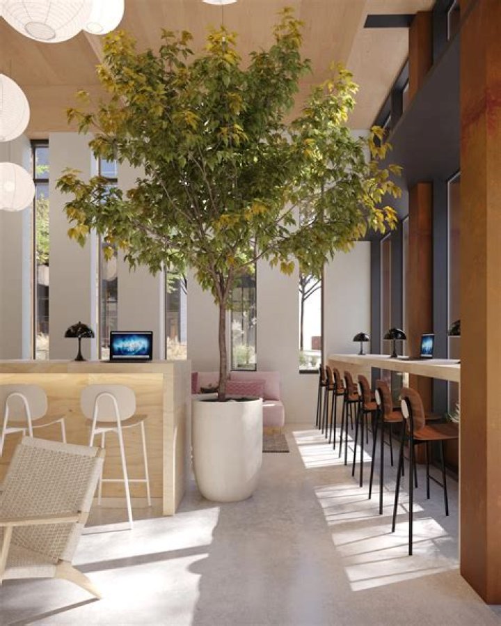 Chester Chipperfield Net Worth