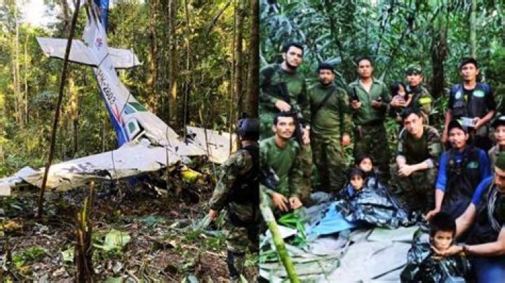 
Colombia Jungle Plane Crash: Search intensifies for two missing children after mother found dead on board 
