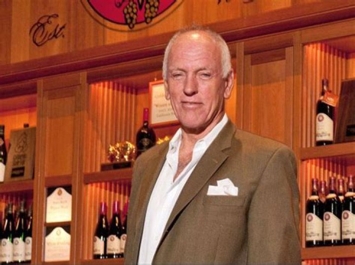 Dario Sattui Net Worth