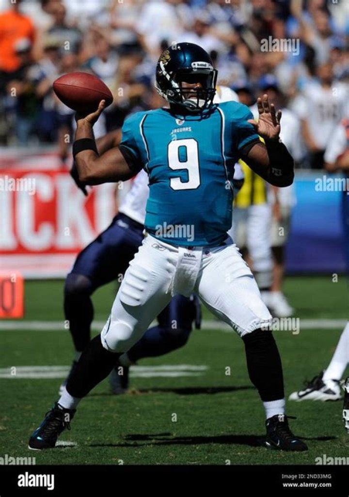 David Garrard Net Worth
