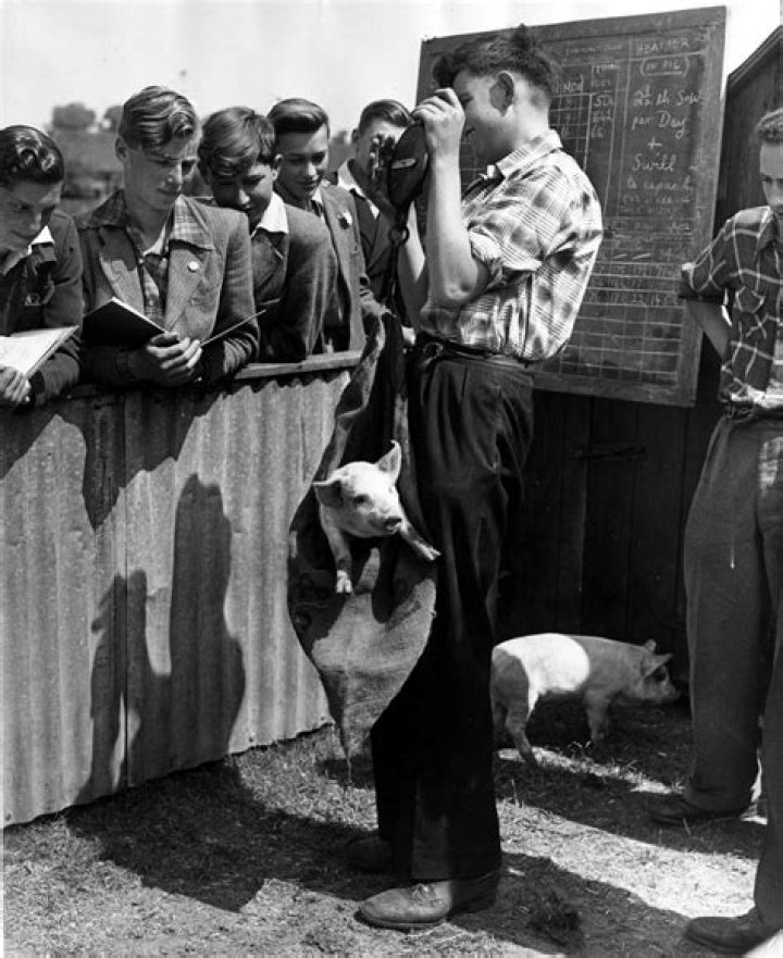 David Hull Net Worth