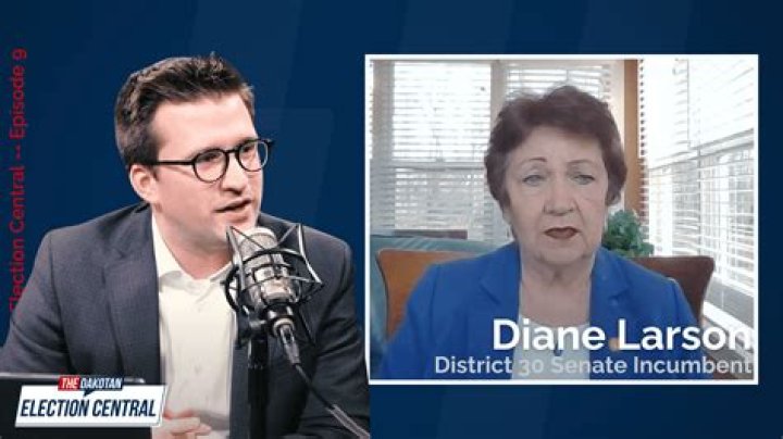 Diane Larson Age, Bio, Wiki, WTVG, Married, Salary, Husband, Net Worth