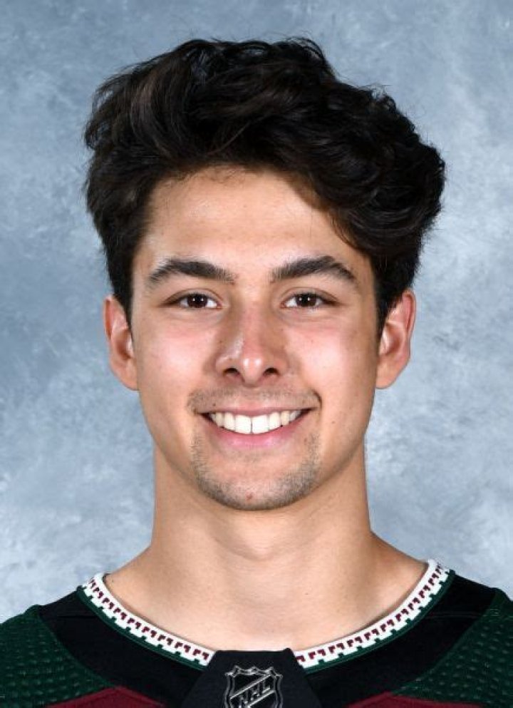 
Dylan Guenther Height, Weight, Net Worth, Age, Birthday, Wikipedia, Who, Nationality, Biography 