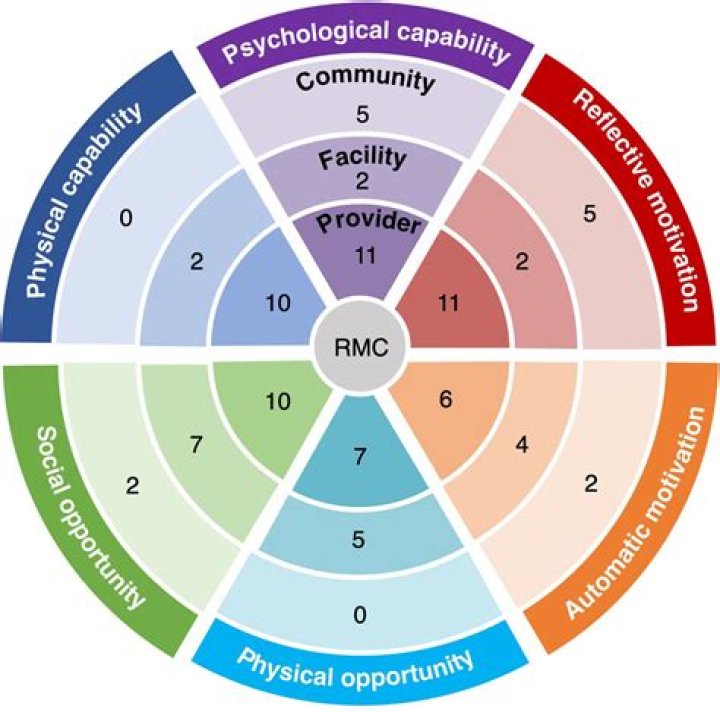 Erica Dixon: Exploring Her Life and Addressing Pregnancy Speculations - SarkariResult