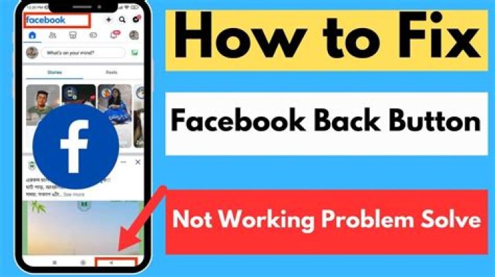 Facebook Back Button Not Working: How To Fix It - SarkariResult