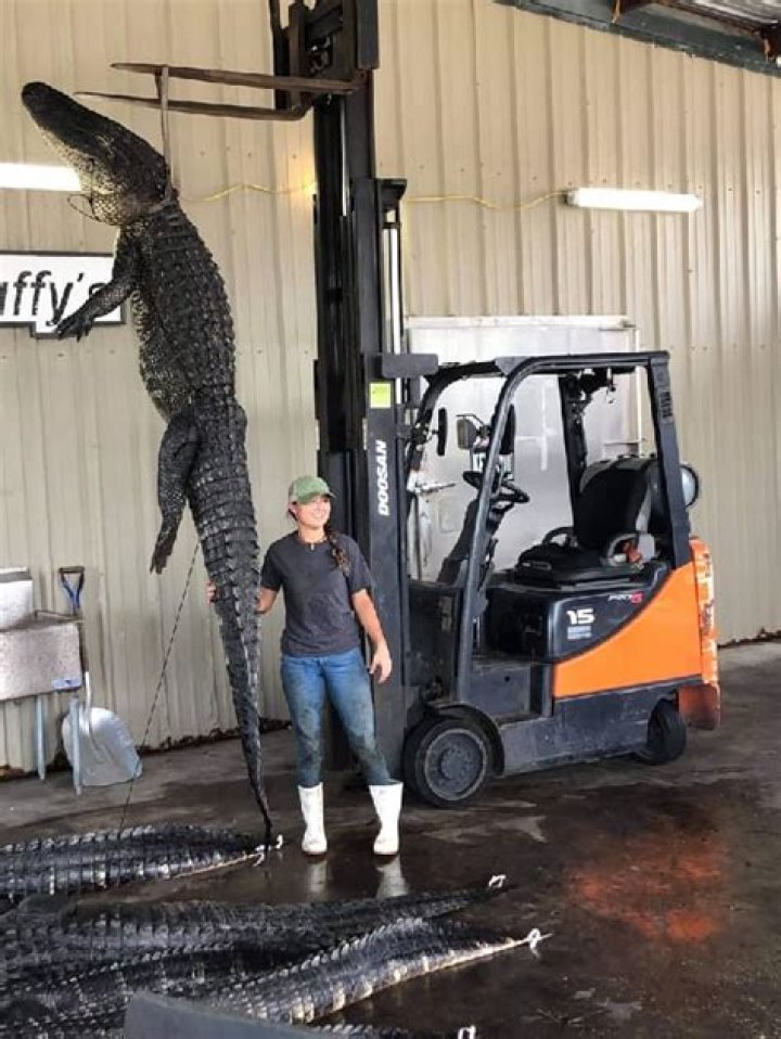 Forrest Galante Height, Weight, Net Worth, Age, Birthday, Wikipedia, Who, Nationality, Biography