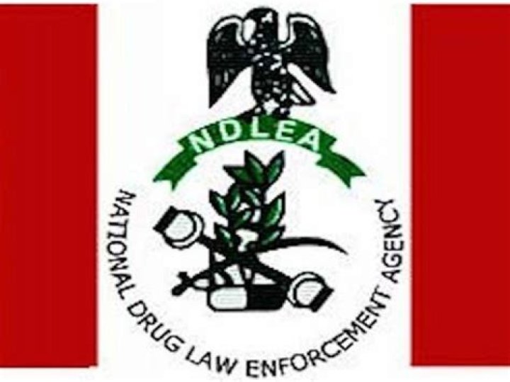 Functions of the NDLEA and brief History   