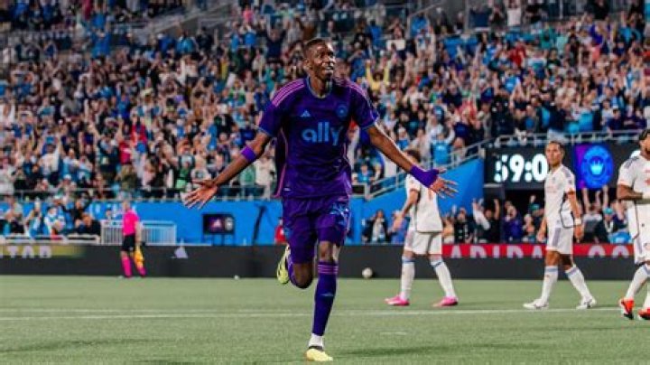 Gabriel Diani Net Worth