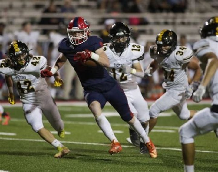 Gino Martino Net Worth