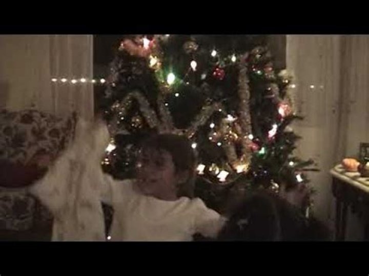 Greg Karas Net Worth