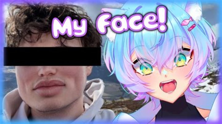 
Has YouTuber Wolfychu Done Face Reveal? Real Name Age Identity And Twitter Explored 