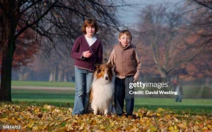 Hester Odgers Net Worth