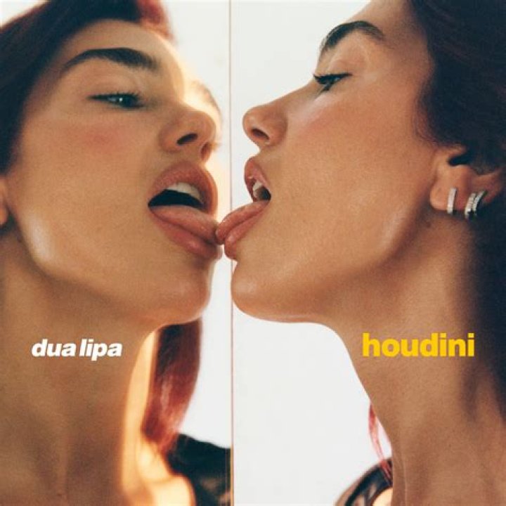 Houdini Dua Lipa Release Date : Recap, Review, Spoilers, Streaming, Schedule & Where To Watch? - SarkariResult