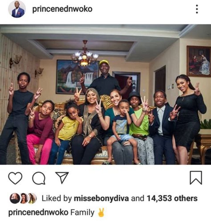 How Many Wives Does Ned Nwoko Have? Delving into Regina Daniel's Spouse's Polygamous Life - SarkariResult