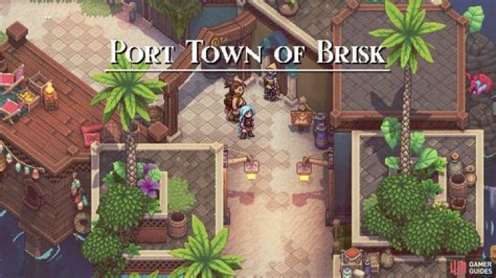 How to find the Hidden Market in Port Town of Brisk in Sea of Stars?