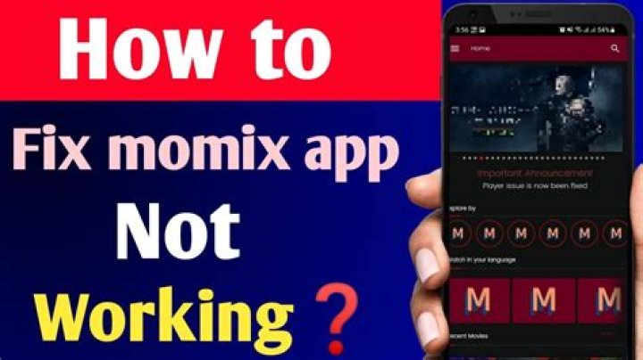 How to Fix Momix App Not Working Issue? - SarkariResult