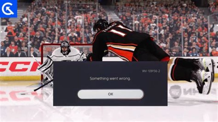 How to Fix / Solve Something Went Wrong on NHL 23 - SarkariResult