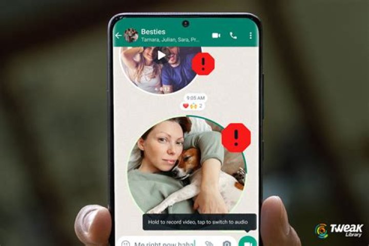 How to Fix Whatsapp Video Message Not Working? - SarkariResult