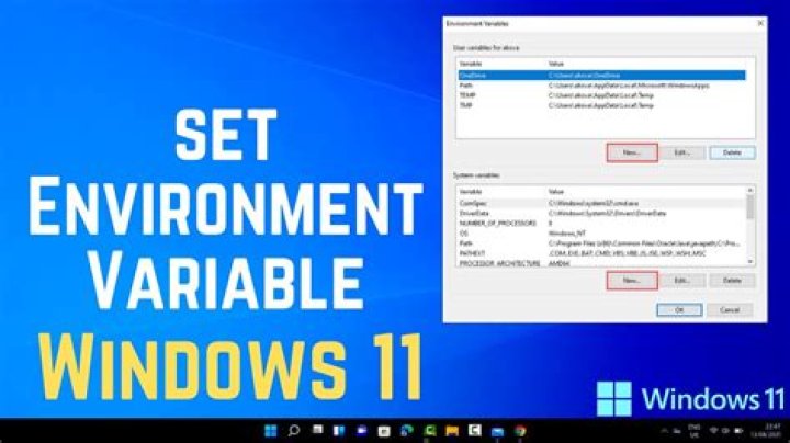 How to set environment variable in windows