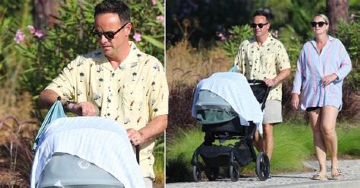 Is Ant McPartlin's Spouse Expecting Baby? Who is Ant McPartlin's Wife? - SarkariResult
