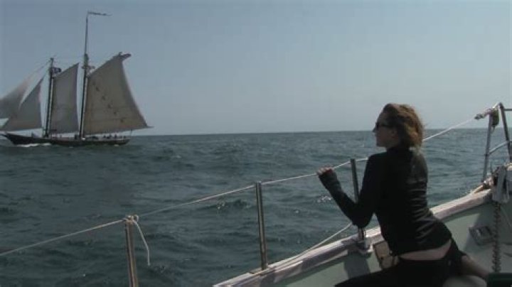 Is Sailing Miss Lone Star Arrested? Aubrey Wilson Charges – What Did She Do?
