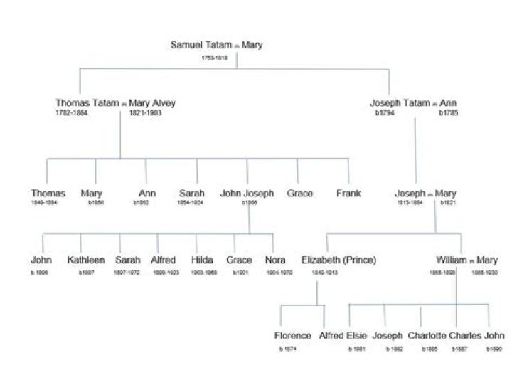 Is Sophia Tatum Related To Channing Tatum? Family Links Explored