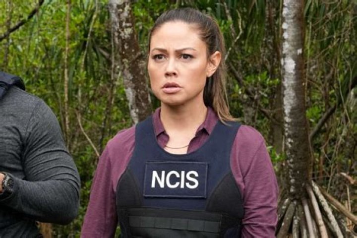 Is Vanessa Lachey Leaving NCIS Hawaii, Who Is Vanessa Lachey, -Latest News