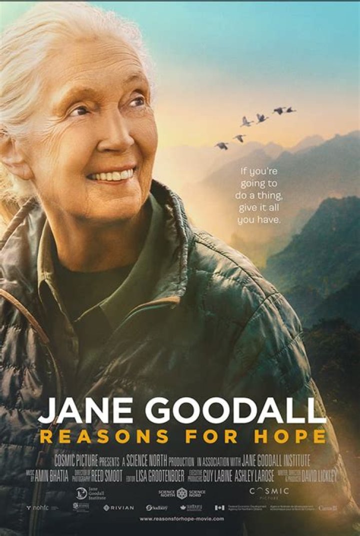 Jane Goodall Bio-Wiki, Age, Husband, Son, The hope Documentary, Quotes, Books, Facts and Awards.