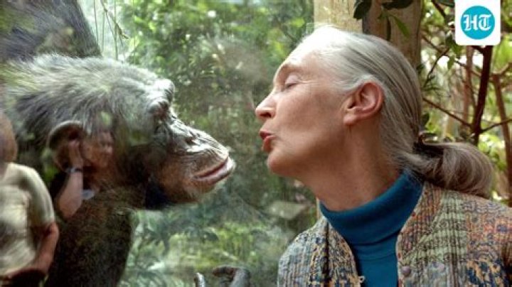 Jane Goodall Net Worth