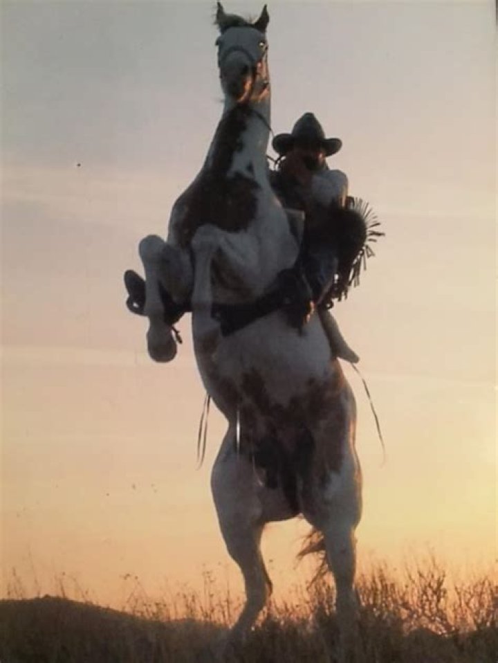 Jay T. Rockwell Net Worth