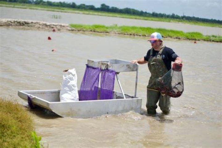 Justin Chiasson Boating Accident: Is Stalekracker Arrested? Where Is He Now?