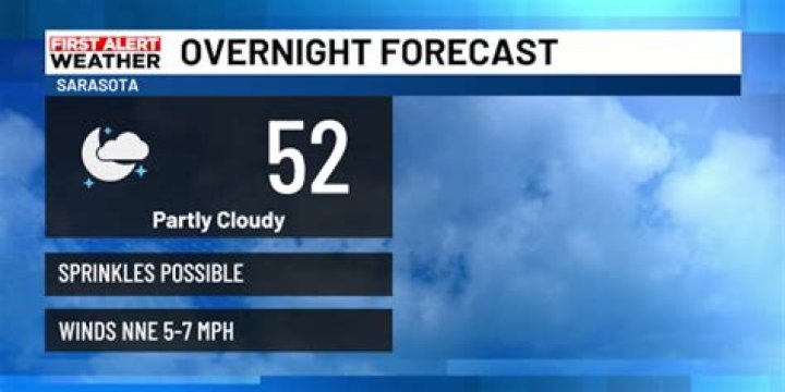 Leslee Lacey Net Worth