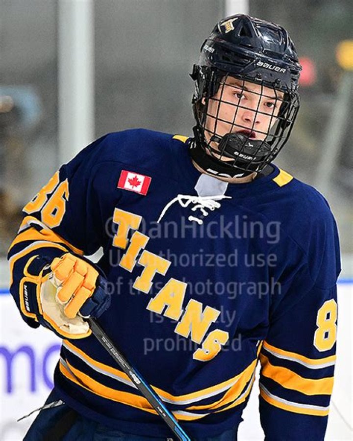 Louis Lettieri Net Worth