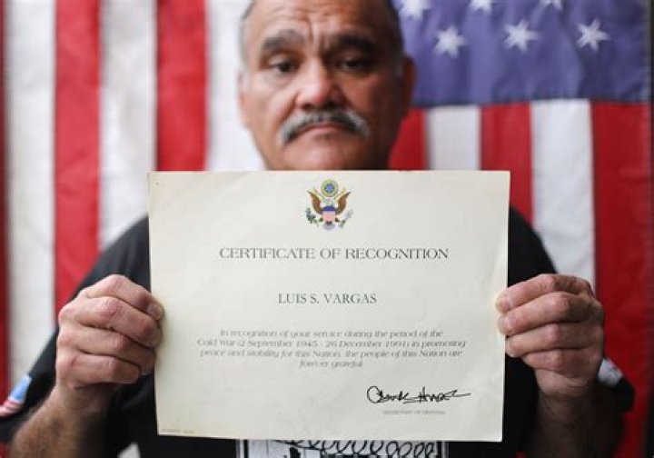 Luis Vargas Net Worth