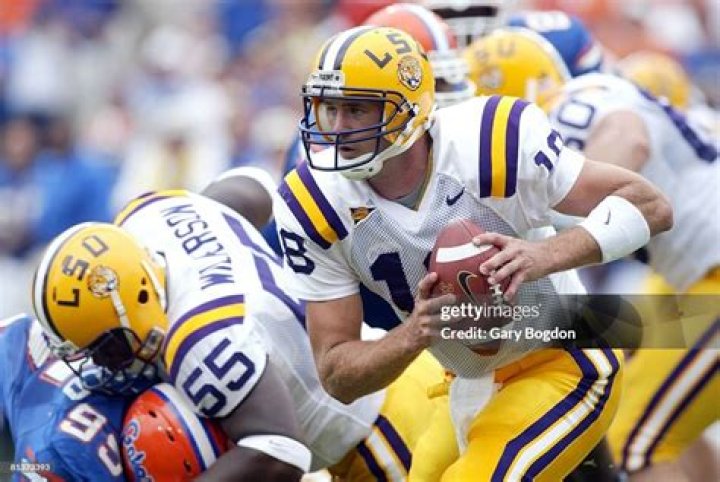 Matt Mauck Net Worth