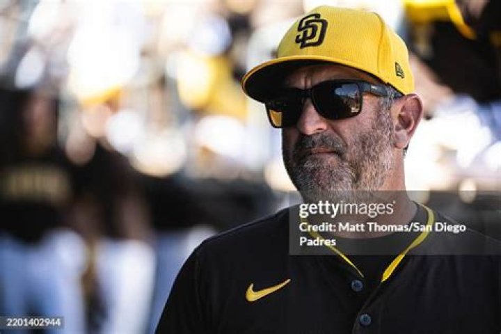 Nick Punto Net Worth