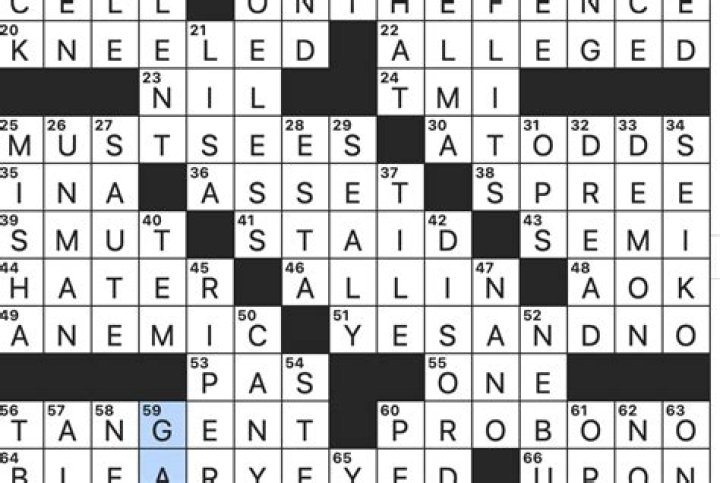Not the good stuff NYT Crossword Clue