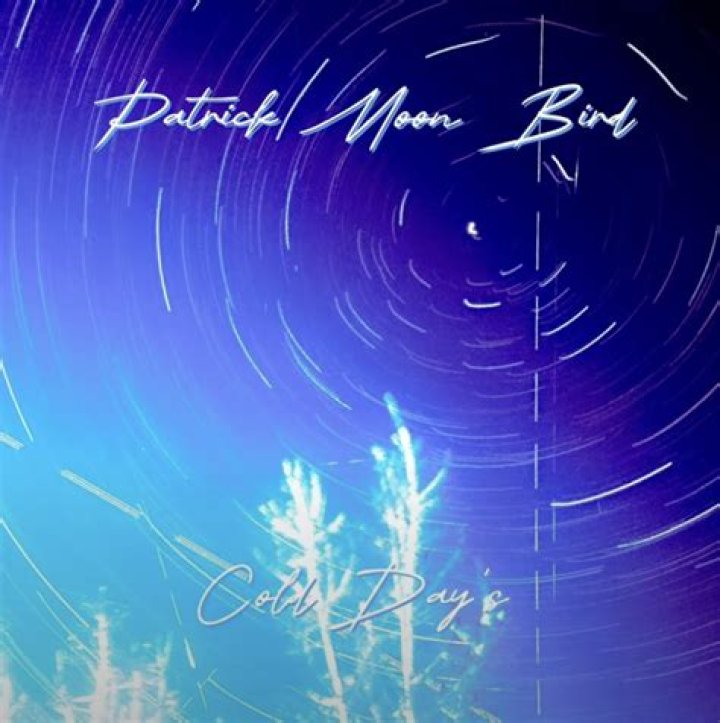 Patrick Moon Net Worth