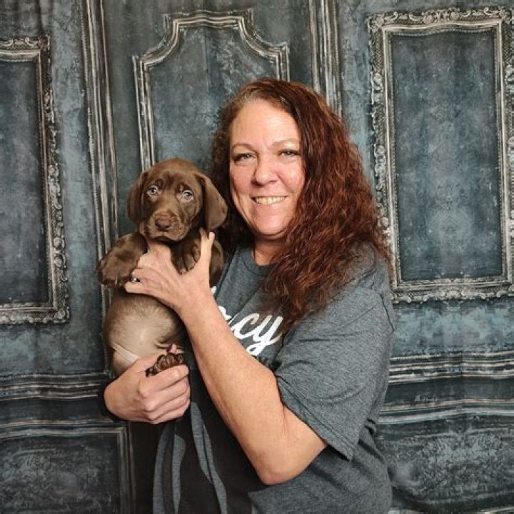 Patty Turner Net Worth, Income, Salary, Earnings, Biography