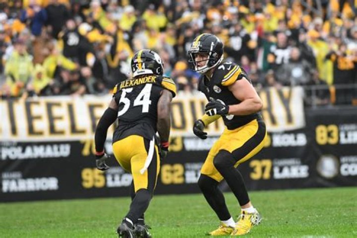 Pittsburgh Steelers WR Kwon Alexander Suffers Torn Achilles in Game Against Green Bay Packers - SarkariResult